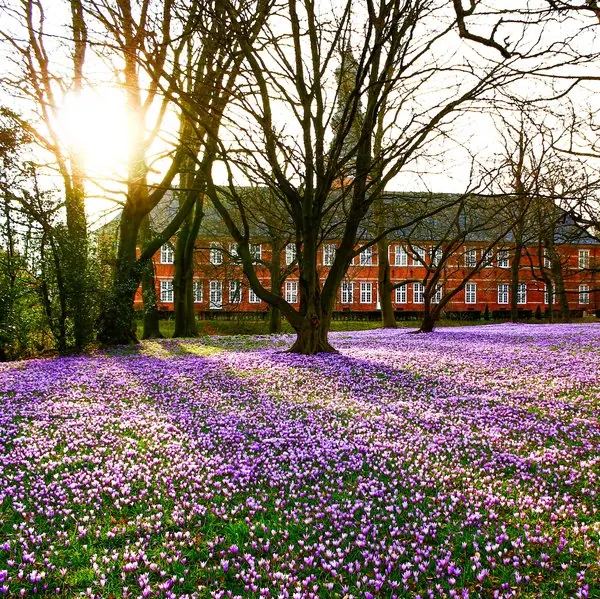 Förde-Küste im Frühling — leere Strände an der Flensburger Förde