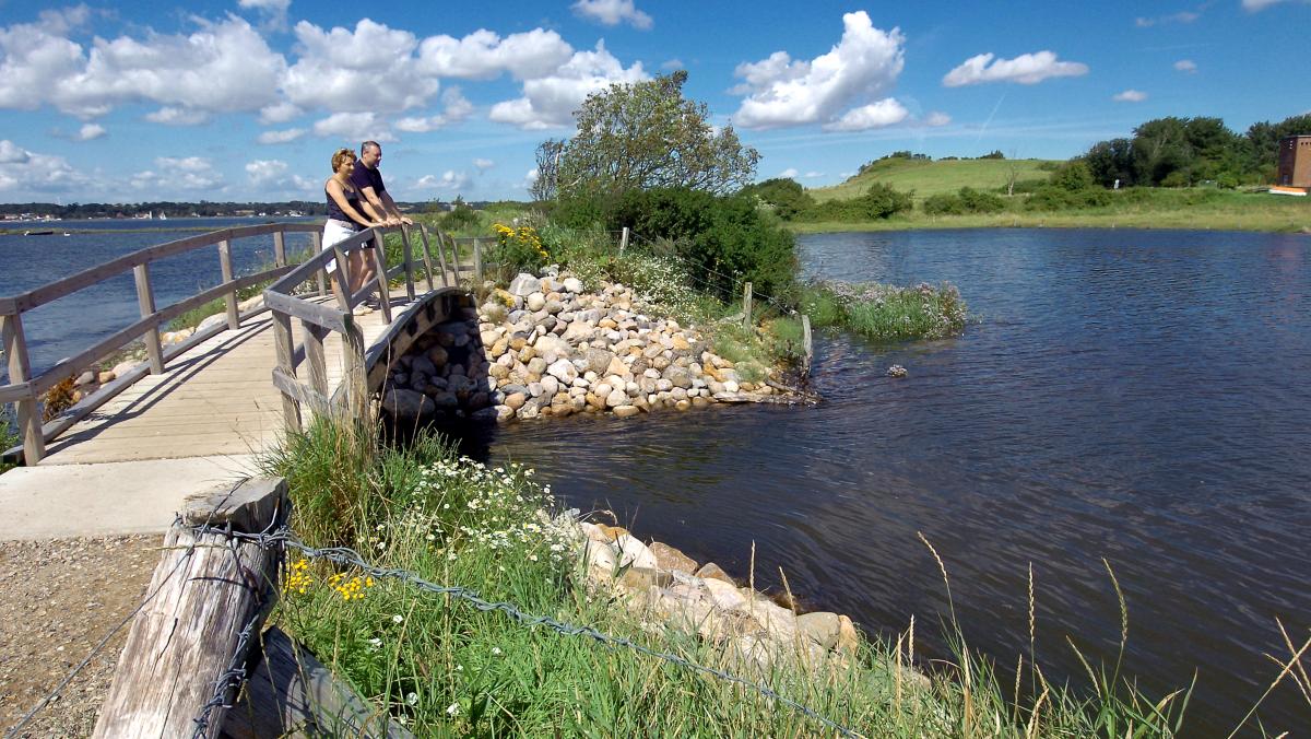 Holzbrücke am Holnis Noor mit Blick auf die Flensburger Förde — Naturerlebnis