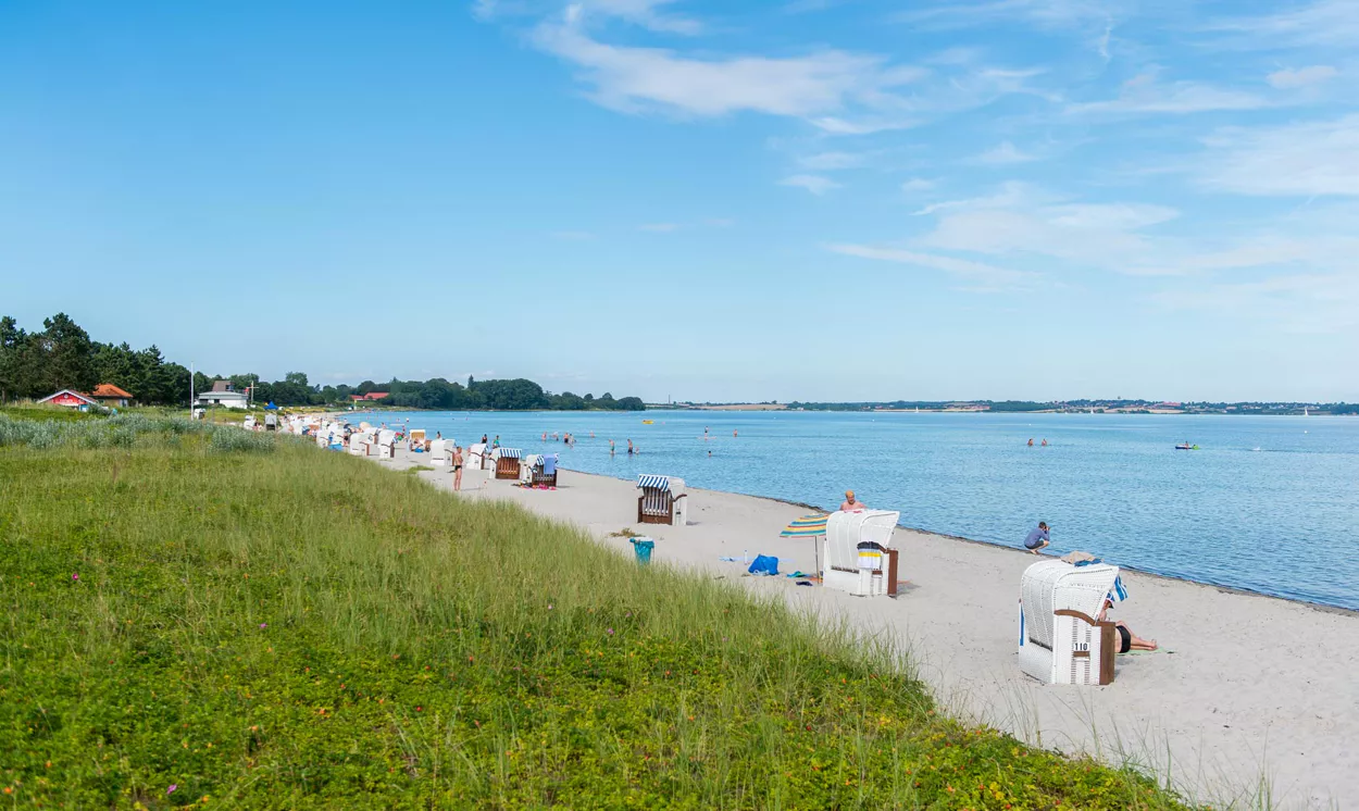 Panorama-Strand Holnis mit Strandkörben, Badegästen und Blick auf die Förde