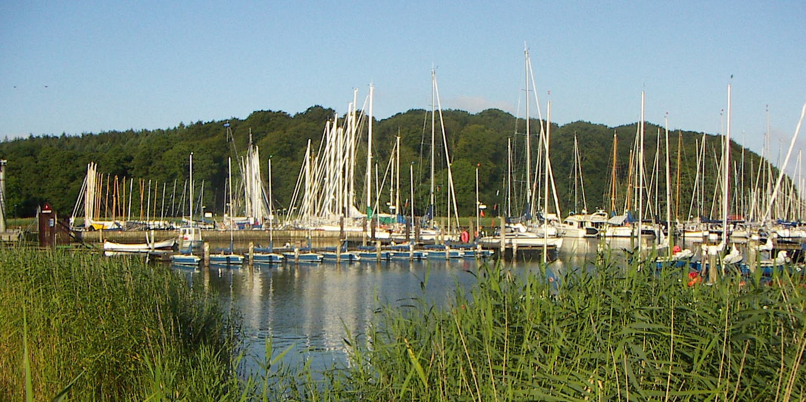 Yachthafen Glücksburg mit Segelbooten und bewaldeten Hügeln